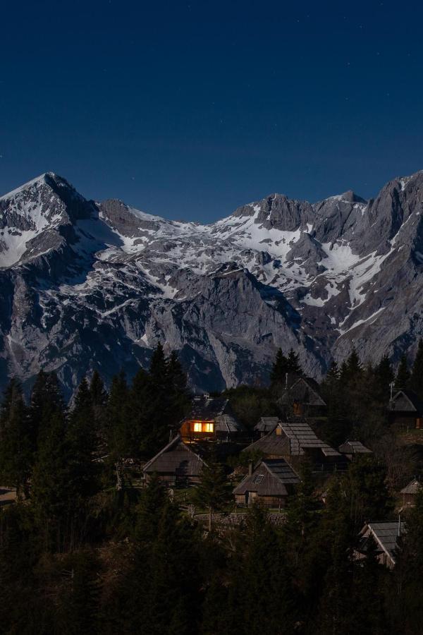 Chalet Neza Velika Planina Стаховиця Екстер'єр фото